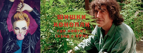 трава Абинск