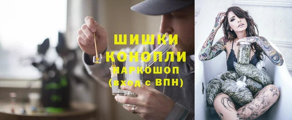 прущие грибы Абаза