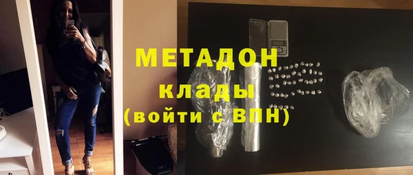 прущие грибы Абаза