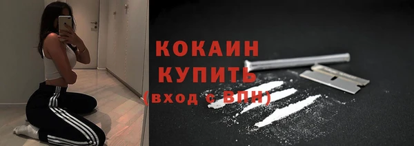 прущие грибы Абаза