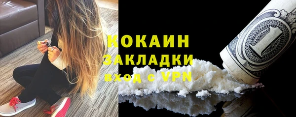 прущие грибы Абаза