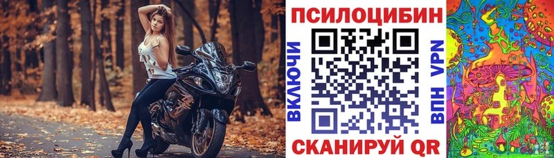 Псилоцибиновые грибы прущие грибы  Шенкурск 