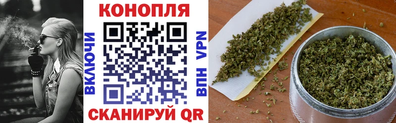 закладка  Шенкурск  МАРИХУАНА индика 
